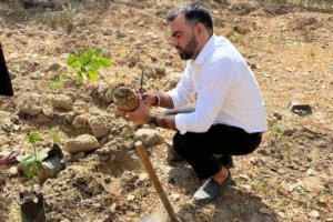 Good Condition of Green Spaces at GSB Court School, Sector 6, RK Puram: A Journey of Care, Challenges, and Commitment